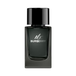 Burberry Mr Burberry Edp 100Ml